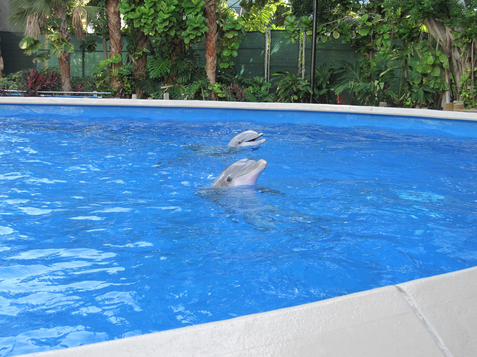 14 04b Orlando SeaWorld 002 IMG 3356